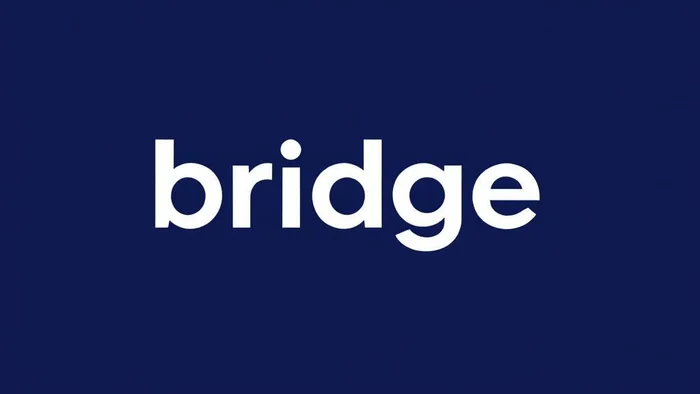 Domain bridgeinternational.us Brand
