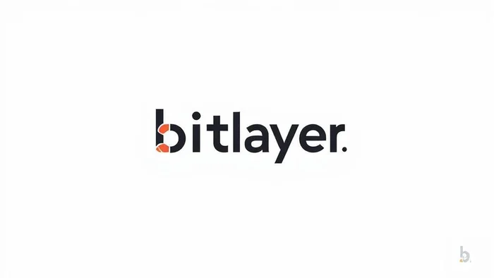 Domain bitlayer.finance Brand