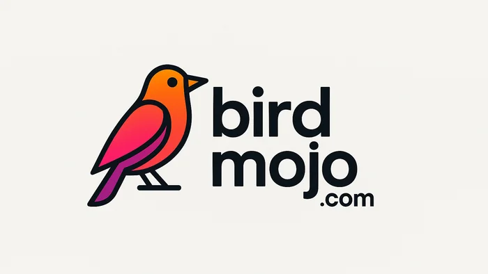 Domain birdmojo.com Brand