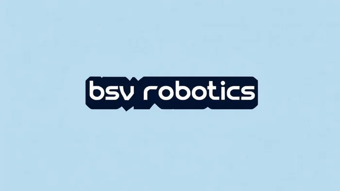 Domain bsvrobotics.com Brand