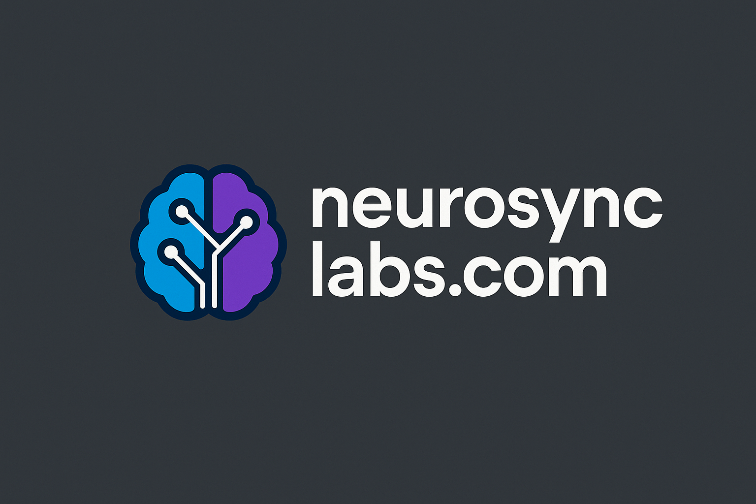 neurosynclabs.com logo