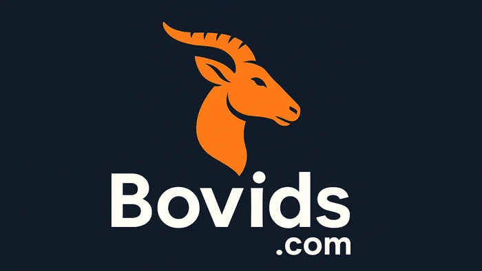 Domain bovids.com Brand