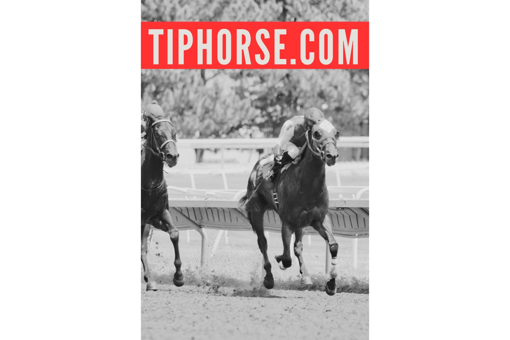 Tiphorse.com 로고