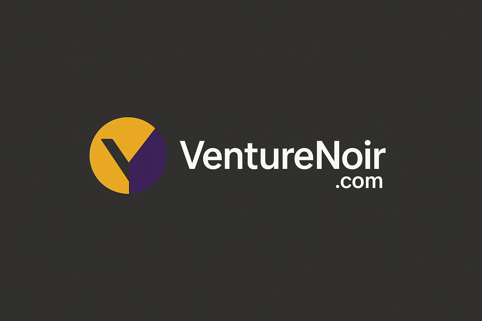 venturenoir.com logo