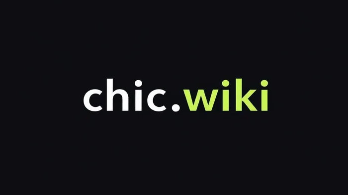 Domain chic.wiki Brand