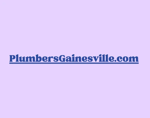 Domain plumbersgainesville.com Brand