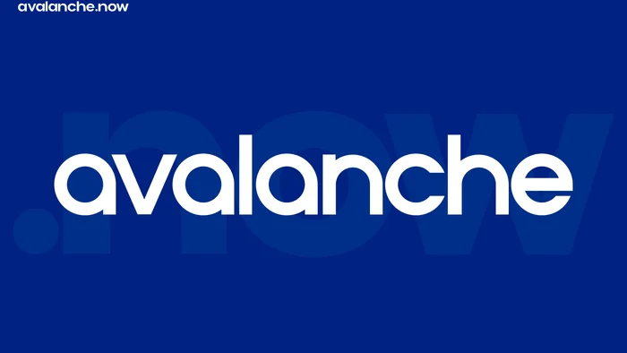 Domain avalanche.now Brand