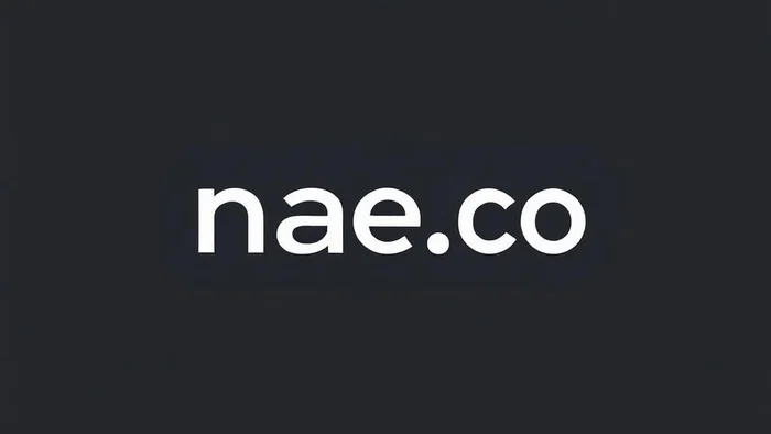 Domain nae.co Brand