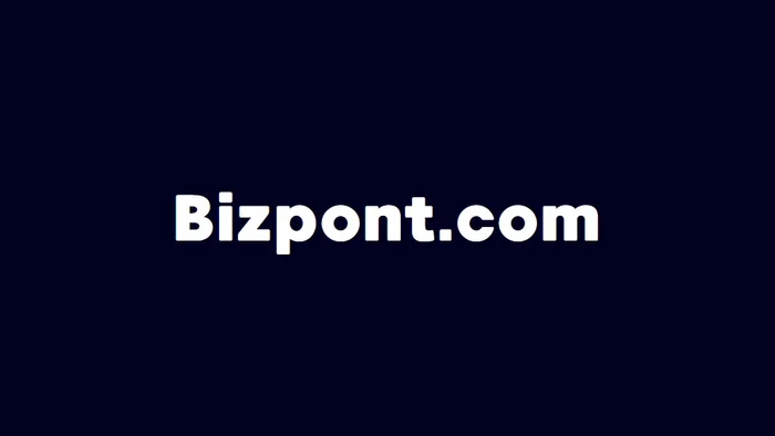 Domain Bizpont.com Brand