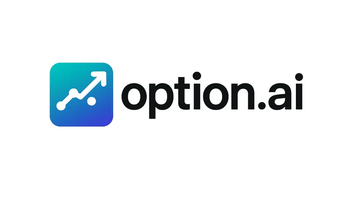 Domain option.ai Brand