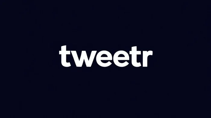 Domain tweetr.com Brand