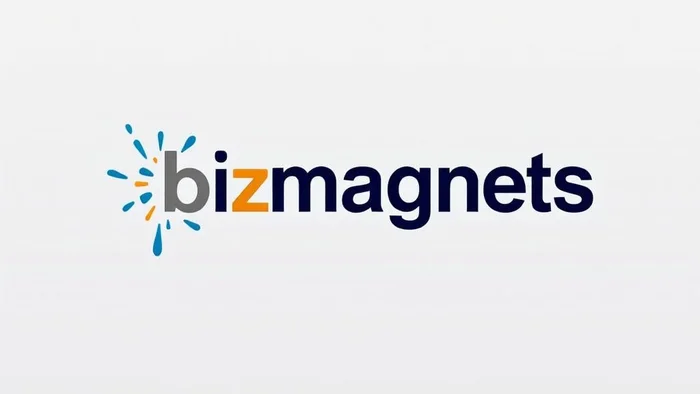 Domain bizmagnets.com Brand