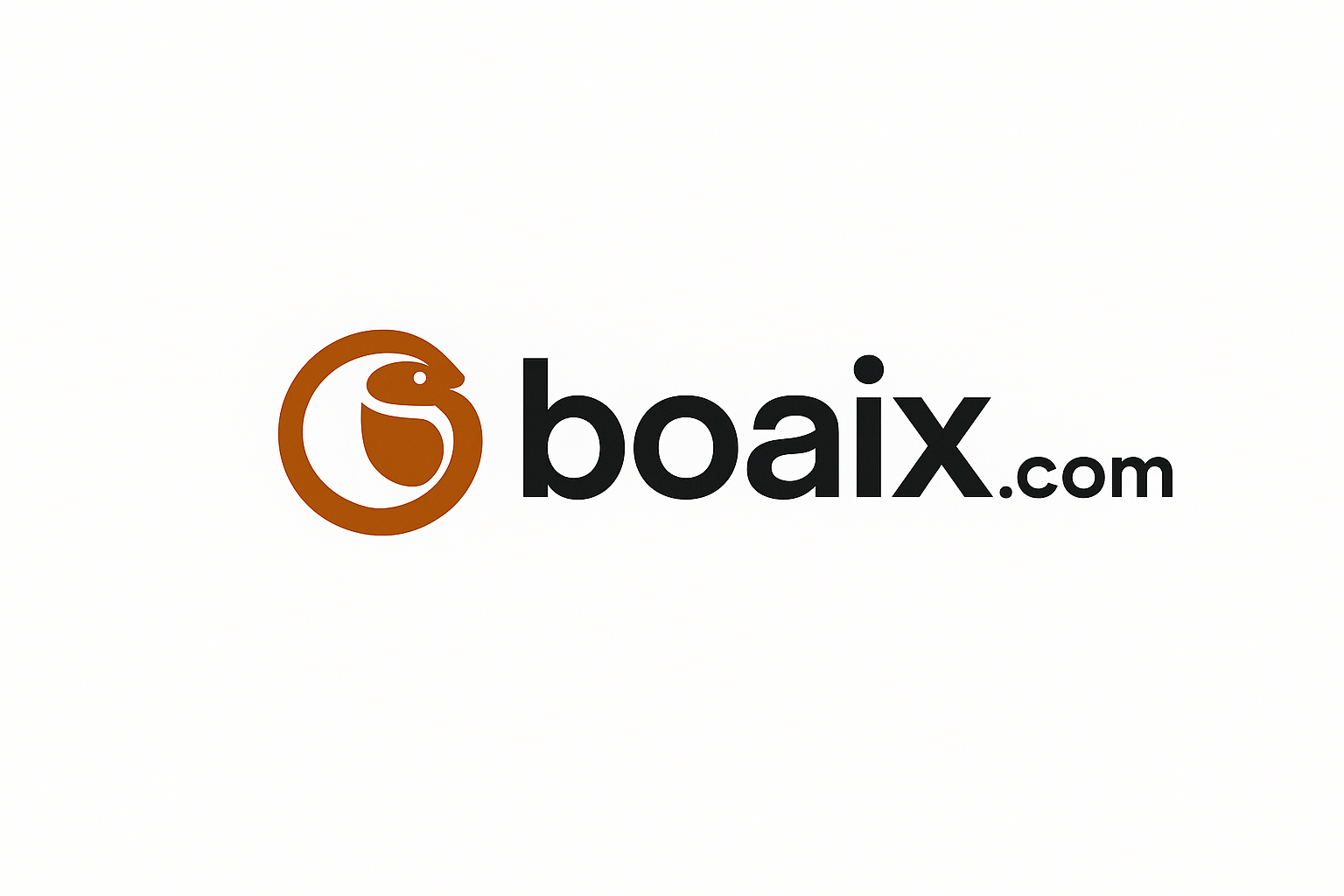 boaix.com logo