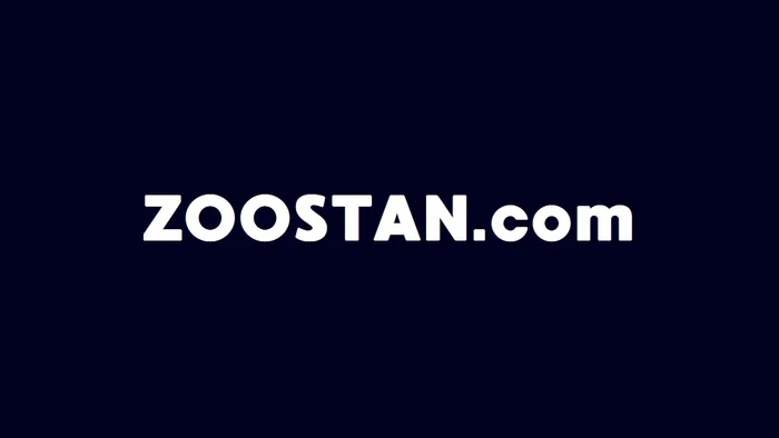 Domain ZOOSTAN.com Brand