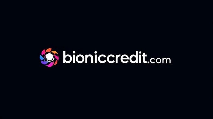 Domain bioniccredit.com Brand