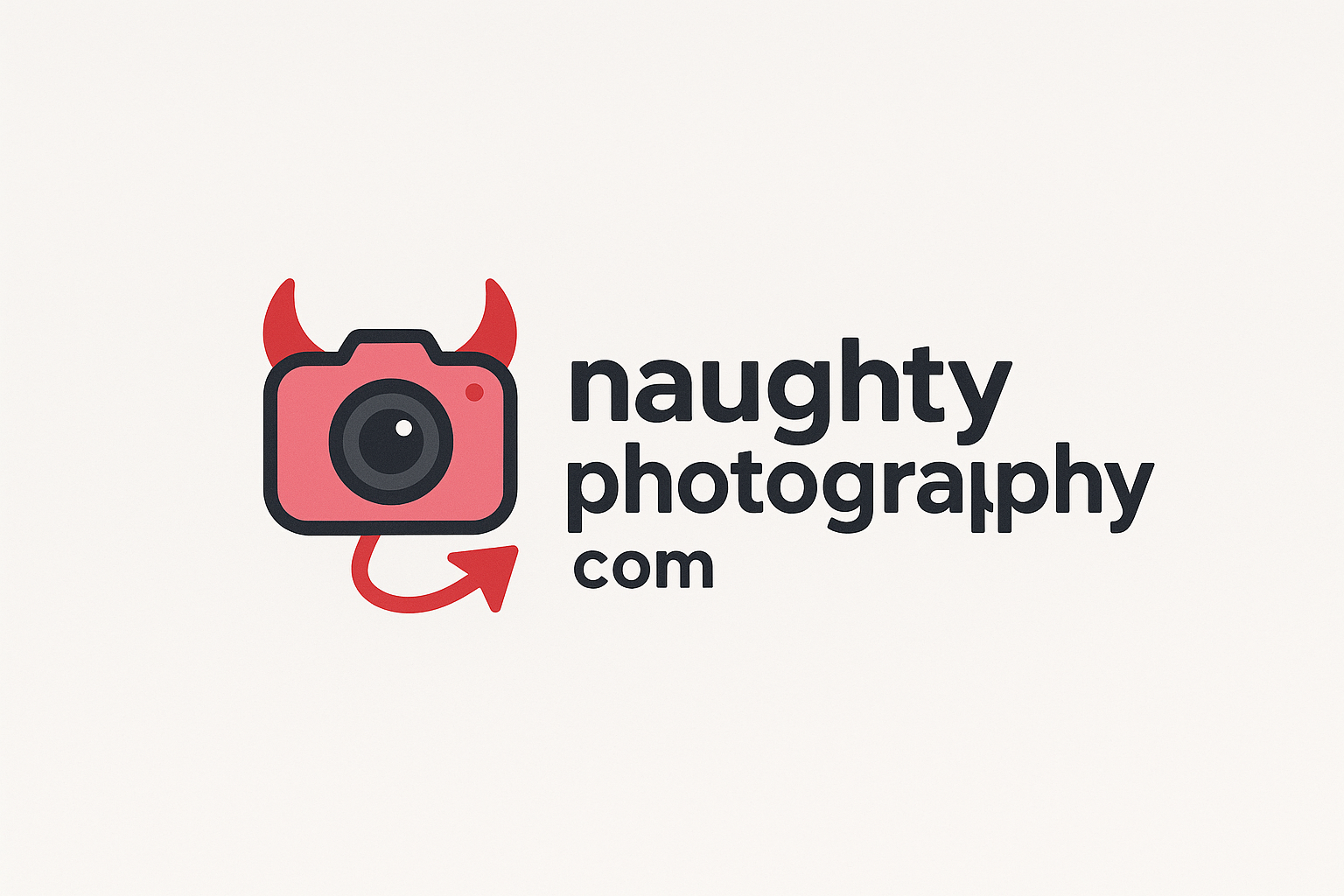 naughtyphotography.com logo
