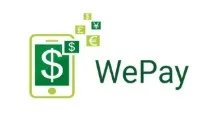 Domain wepay.now Brand