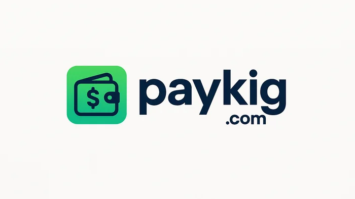 Domain paykig.com Brand