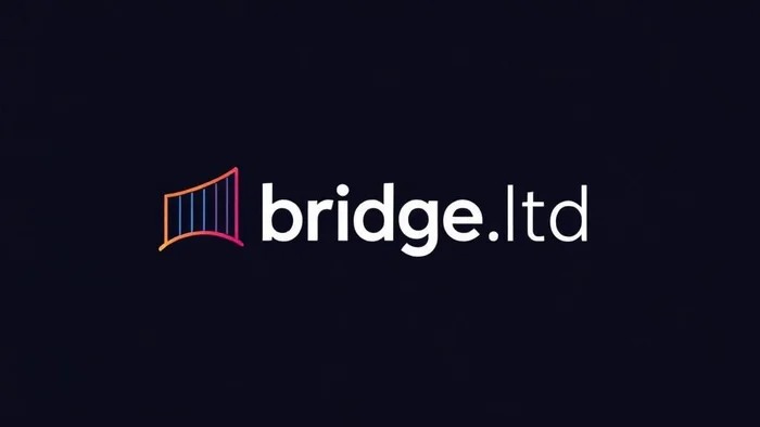 Domain bridge.ltd Brand