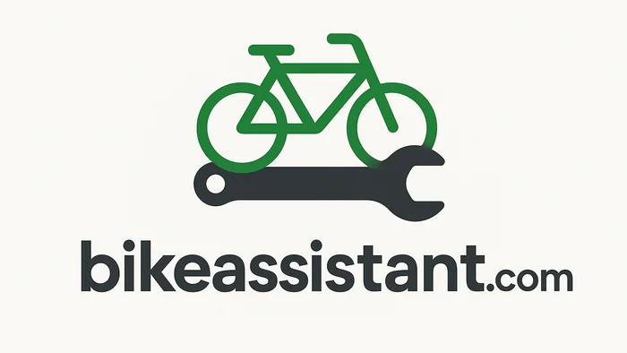 Domain bikeassistant.com Brand