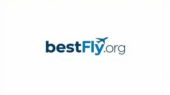 Domain bestfly.org Brand