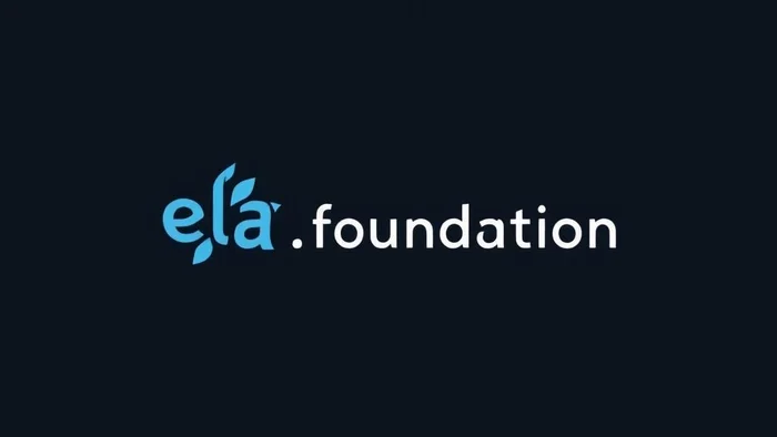 Domain ela.foundation Brand