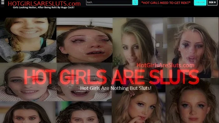 Domain hotgirlsaresluts.com Brand
