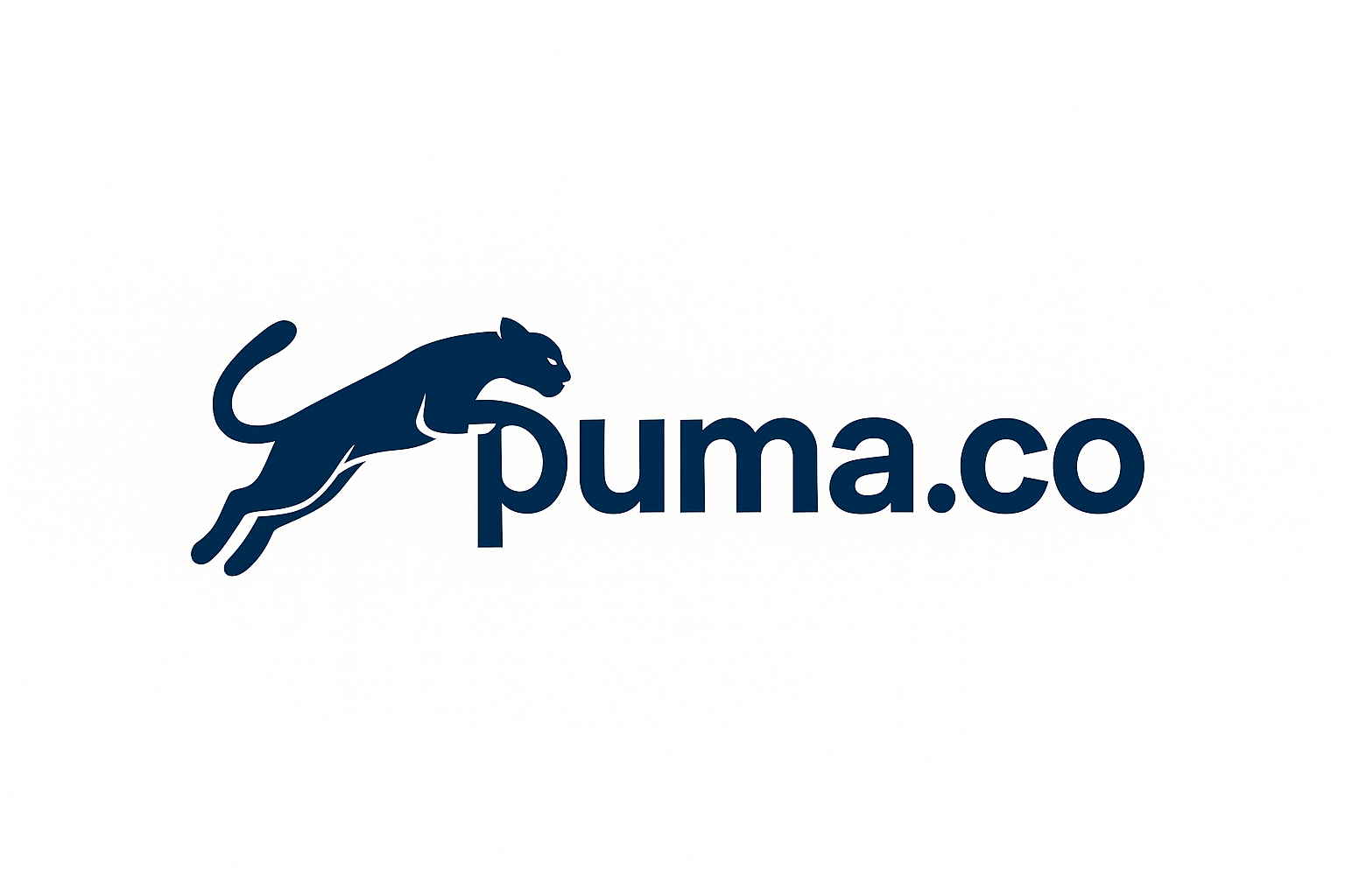 Domain puma.co Brand
