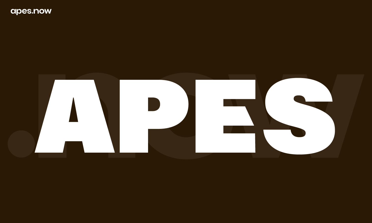 logótipo de apes.now