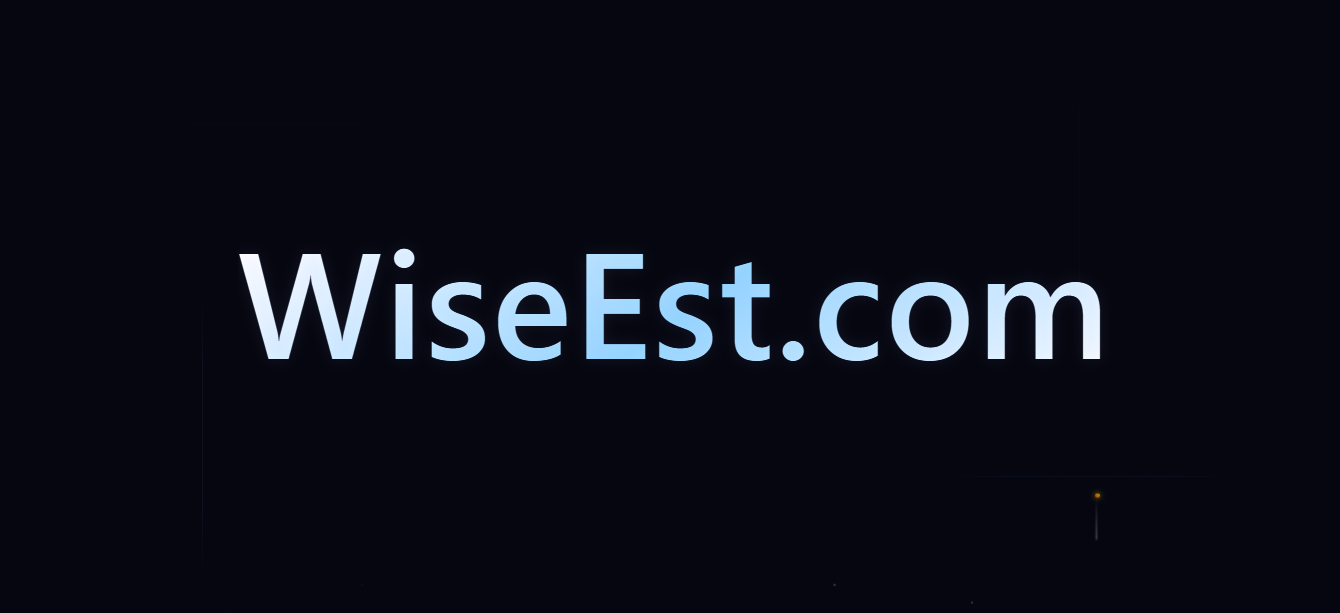 Logo wiseest.com