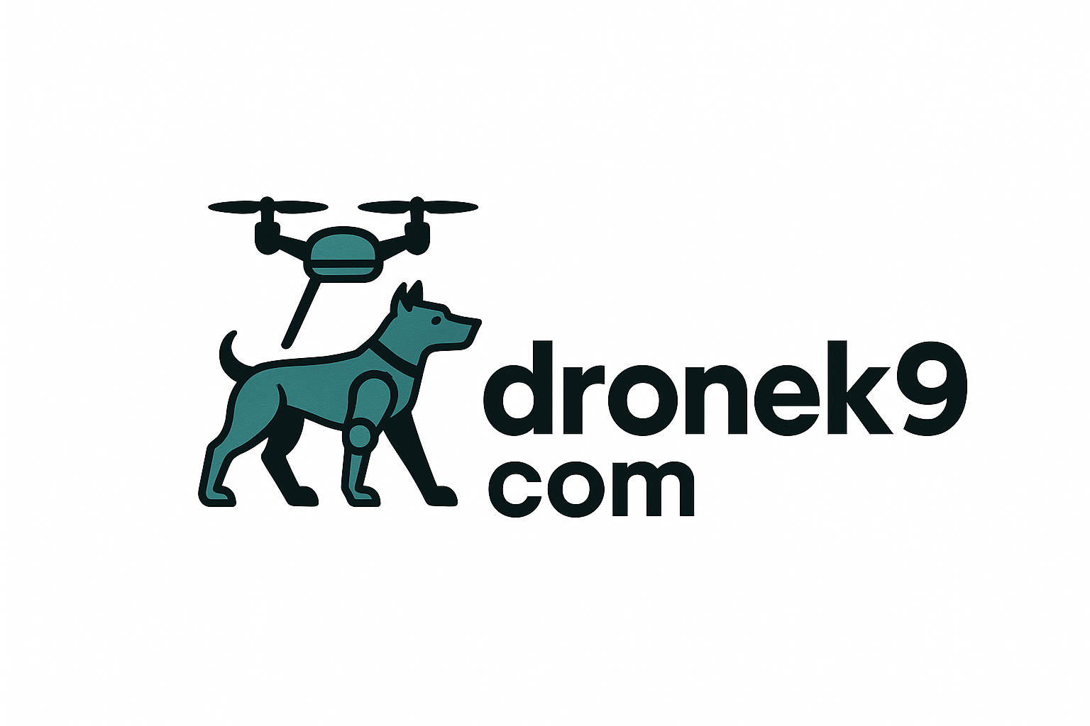dronek9.com logo