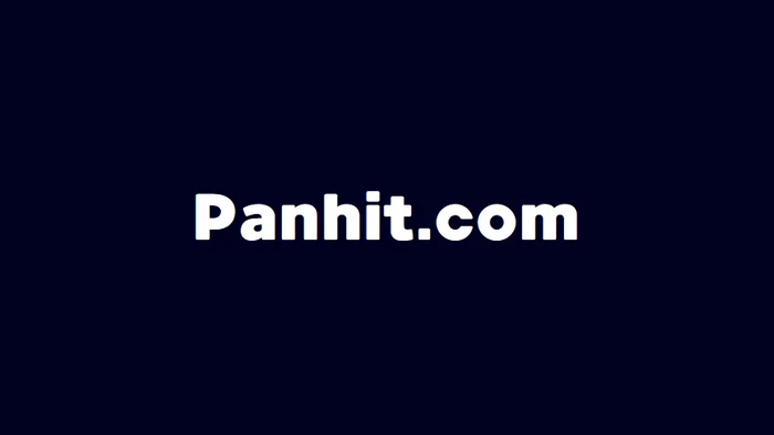 Domain Panhit.com Brand