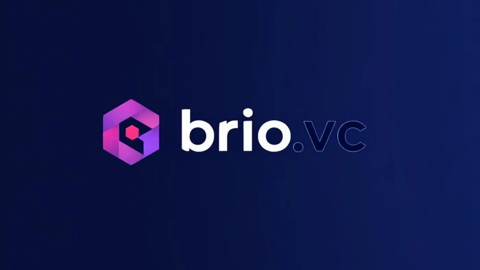 Domain brio.vc Brand