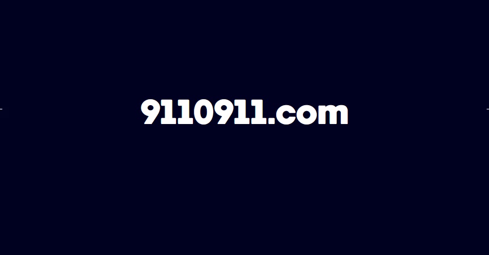 9110911.com logo