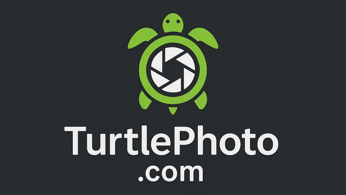 Domain turtlephoto.com Brand