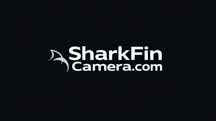 Domain SharkFinCamera.com Brand