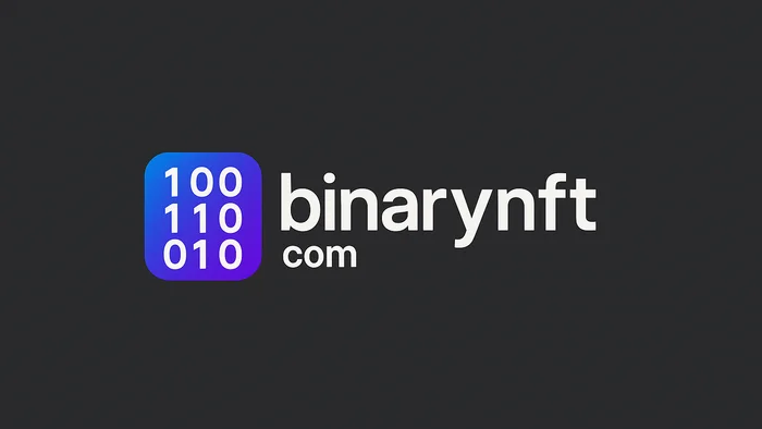 Domain binarynft.com Brand