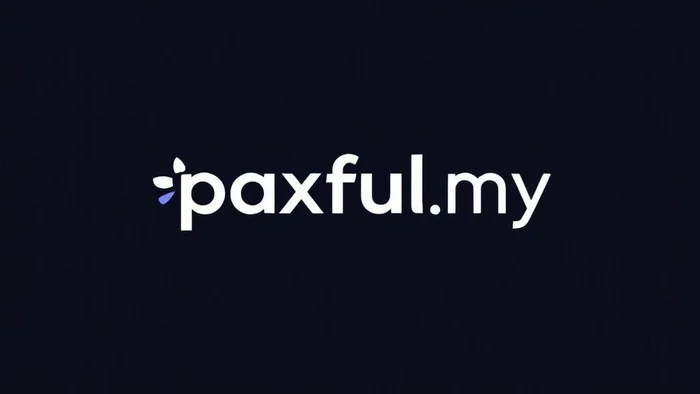 Domain paxful.my Brand
