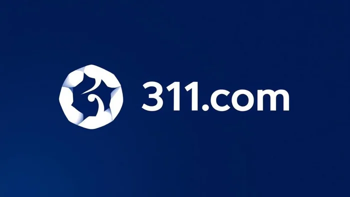 Domain 311ai.com Brand