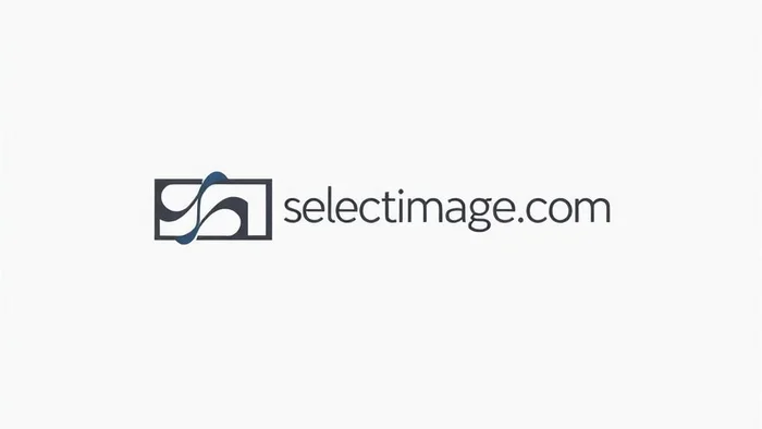 Domain selectimage.com Brand