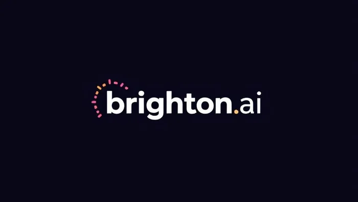 Domain brighton.ai Brand