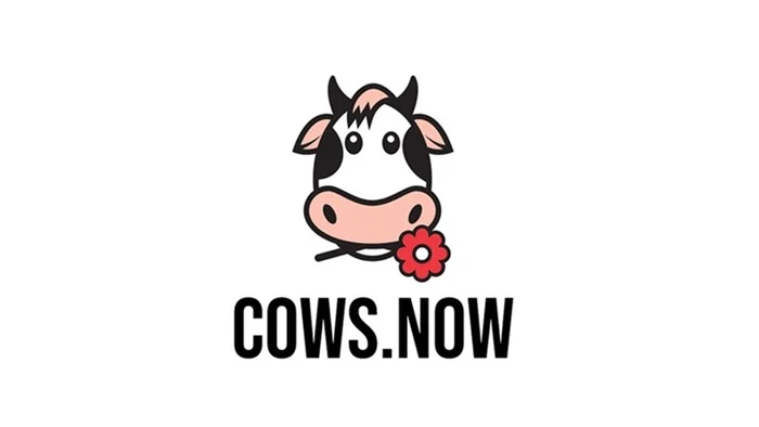 Domain cows.now Brand