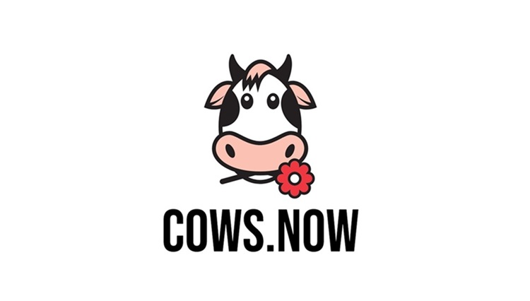 Domain cows.now Brand
