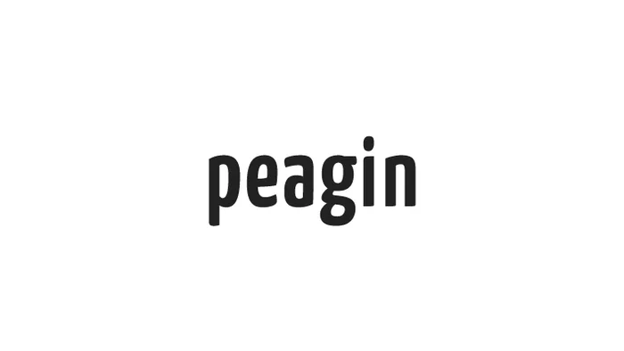 Domain peagin.com Brand