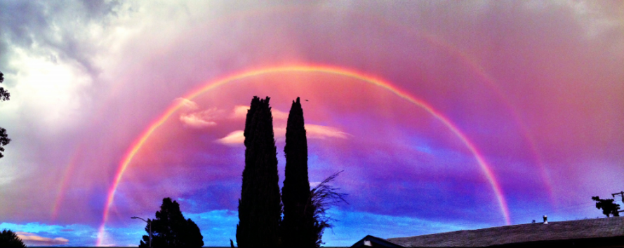 Domain crisqa.pw Brand