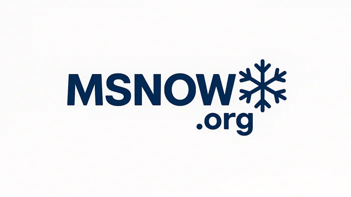 Domain MSNOW.org Brand