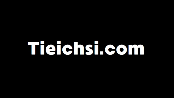 Domain Tieichsi.com Brand