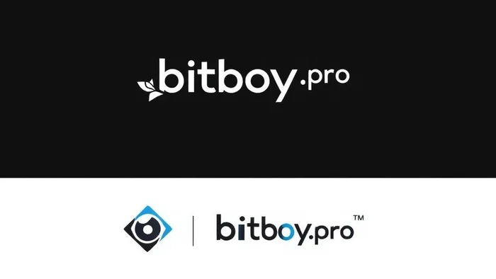 Domain bitboy.pro Brand