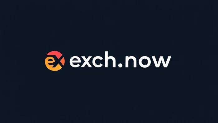 Domain exch.now Brand