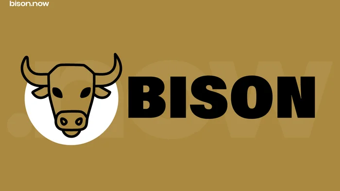 Domain bison.now Brand